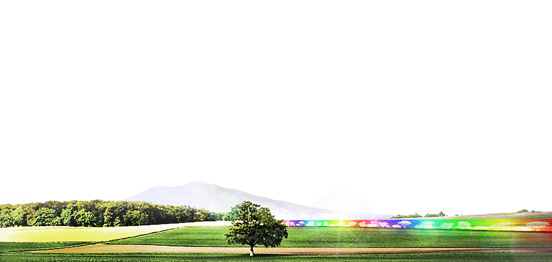 DFG Architetti_Green Boulevards (1)